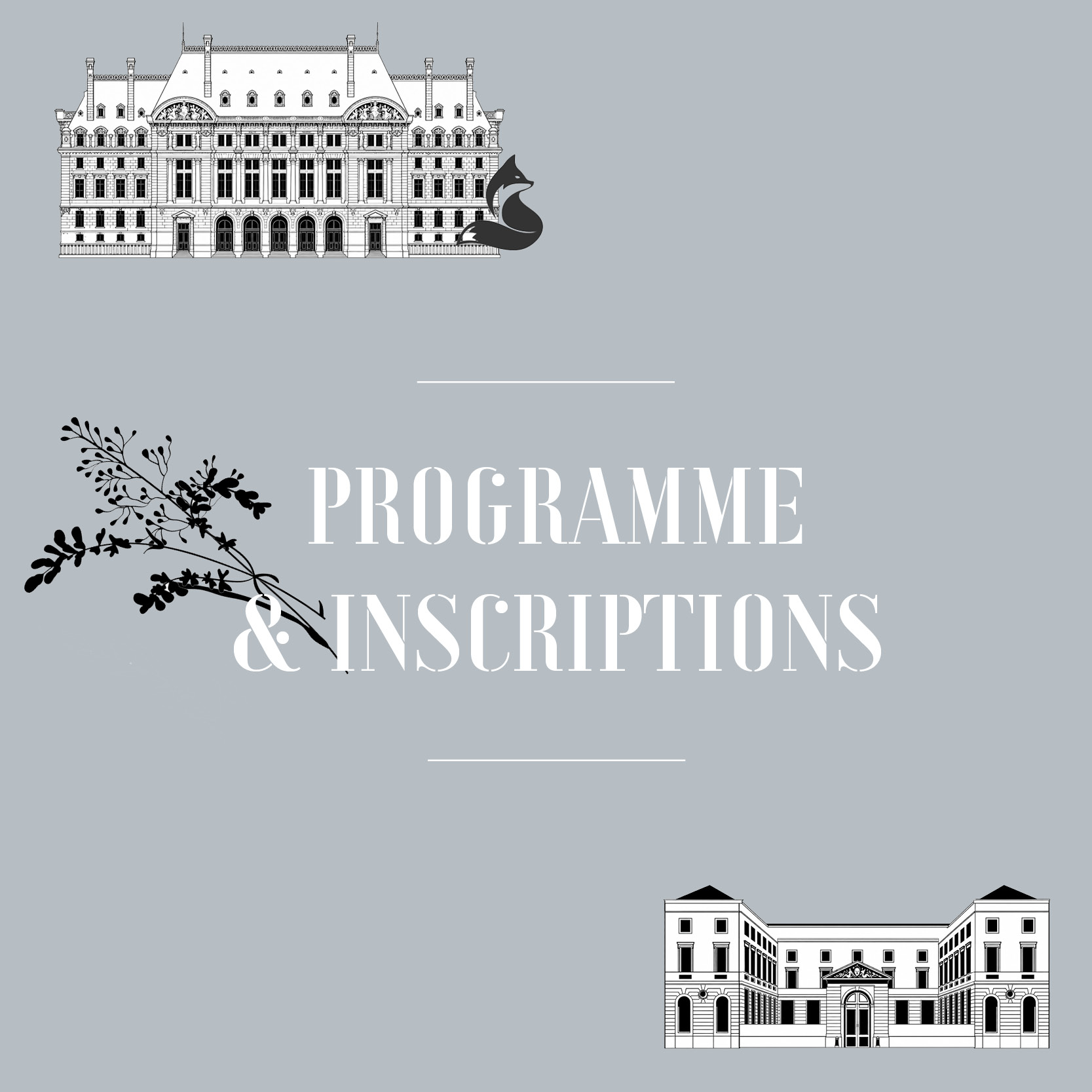 PROGRAMME 2026